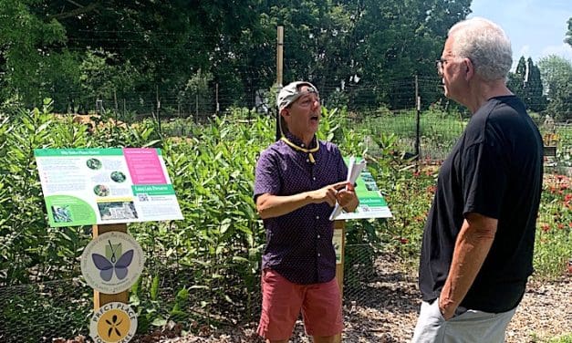 Podcast plants new questions about Westport Community Gardens