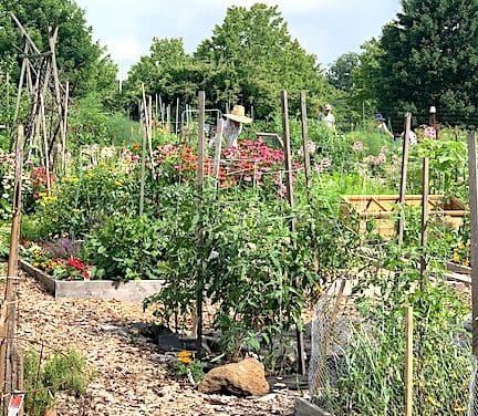 Letter: Plant seeds of harmony by compromising on Long Lots project