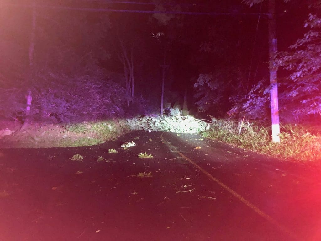 A large tree limb and wires were down Saturday on Crawford Road. / Photos by Thane Grauel