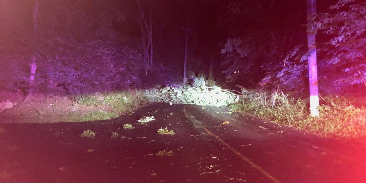 Dozens lose power when gusty storm downs tree limbs, wires