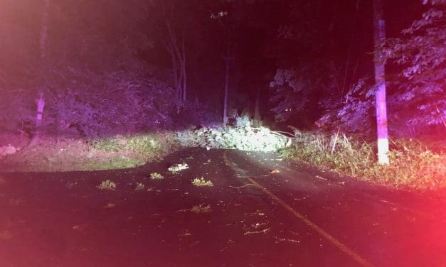 Dozens lose power when gusty storm downs tree limbs, wires