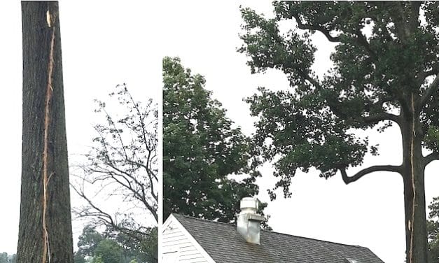 Lightning strikes highlight T-storm dangers
