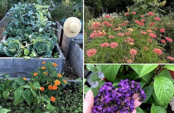 ‘Art in the Garden,’ a brush with nature