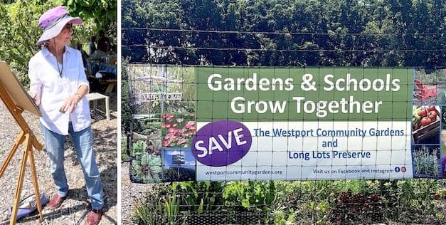 Open-air gallery: Community gardeners cultivate support from artists