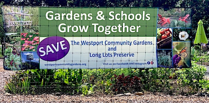 Who gets to plot the fate of community gardens?