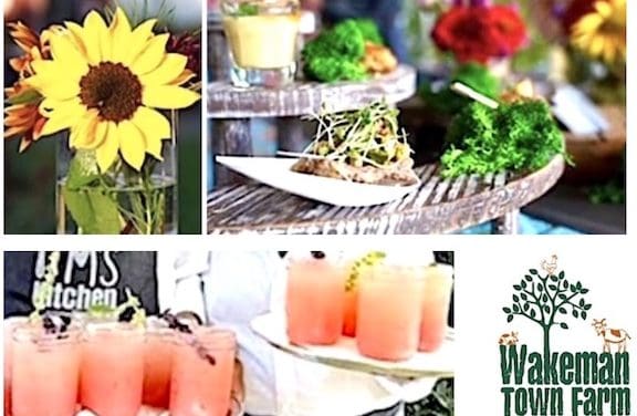 Bountiful fun at Wakeman Town Farm’s ‘Harvest Fest’
