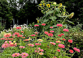 Letter: A path to preserve a garden, build a school and ensure accountability