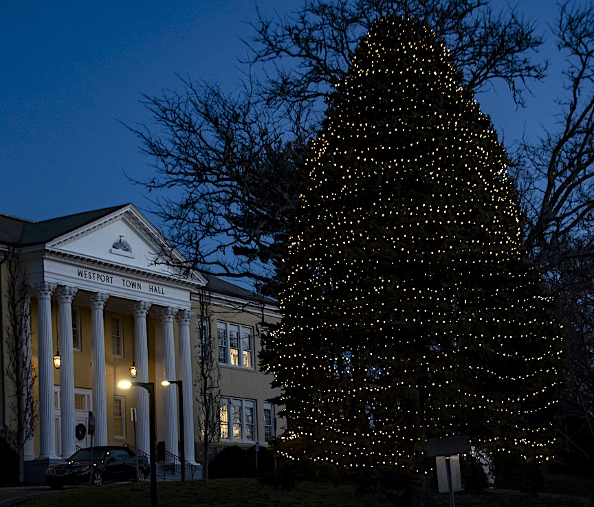 The Christmas tree at Town Hall.