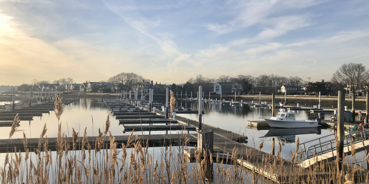 Committees endorse marina, Coleytown field expenditures