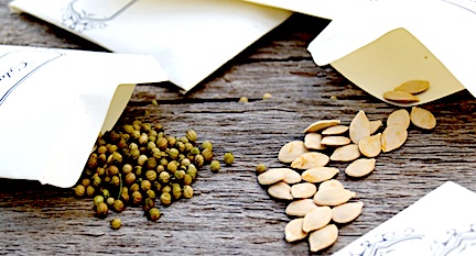 Seed exchange takes root March 7 at Westport Farmers Market