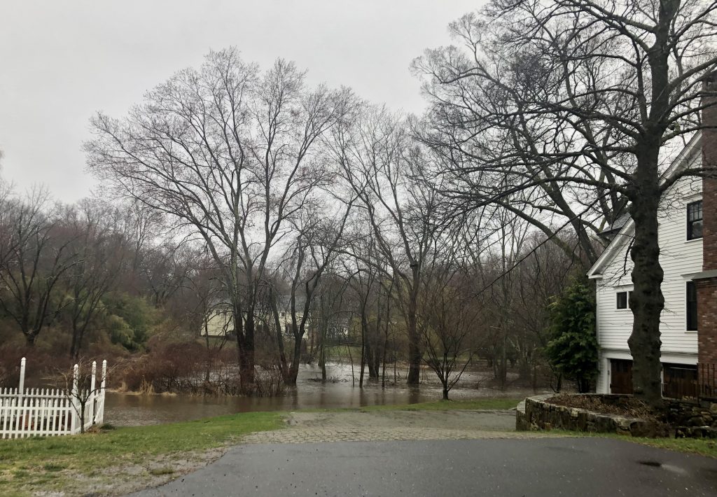 Muddy Brook near Center Street.