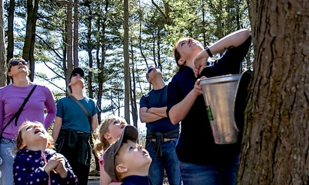 Sweet spot: Earthplace taps into maple sugar season