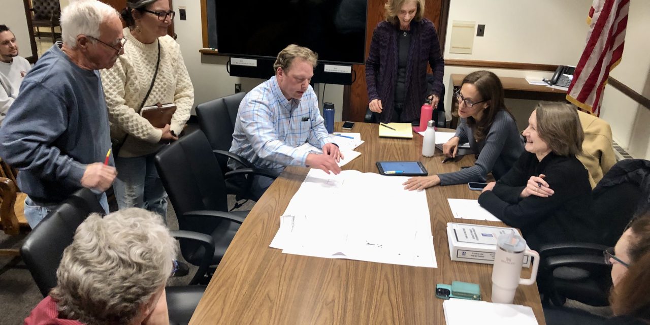 Tree Board members defend Jesup Green trees
