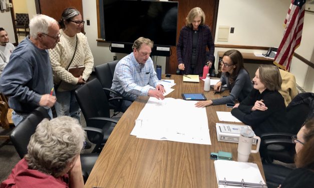 Tree Board members defend Jesup Green trees