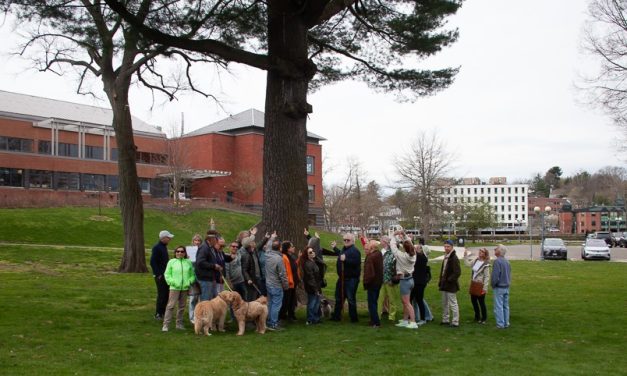 In rekindled debate, RTM slams door on Jesup Green parking plan