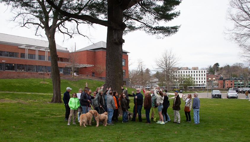 In rekindled debate, RTM slams door on Jesup Green parking plan