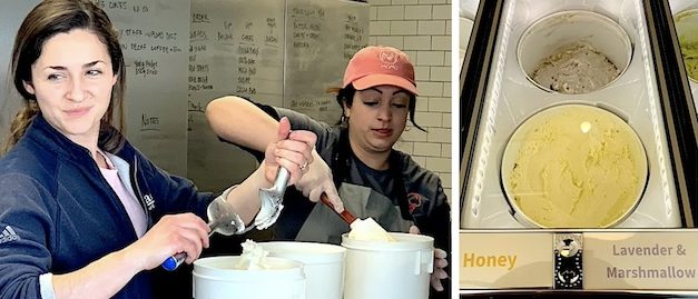 At MOMU, ice cream crafted for each season, many palates