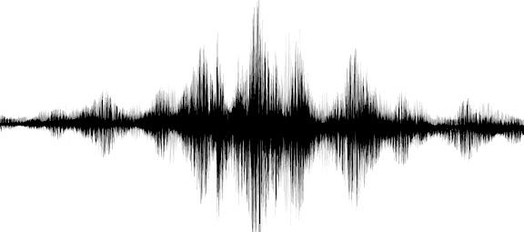 Westport feels tremors from earthquake rumbling across Northeast