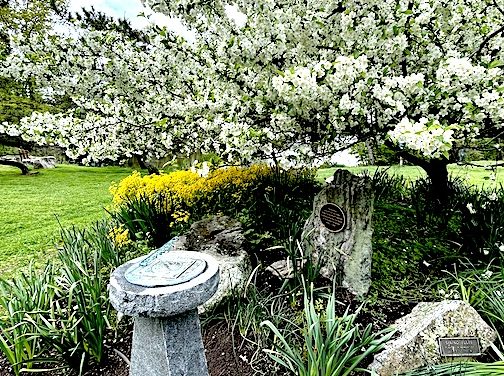Centennial flower show pays tribute to Westport Garden Club roots