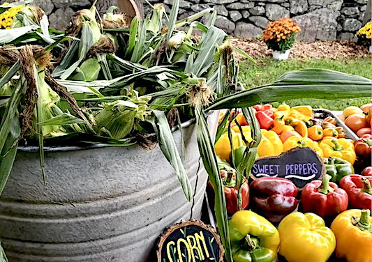 A fresh season at Wakeman Town Farmstand 