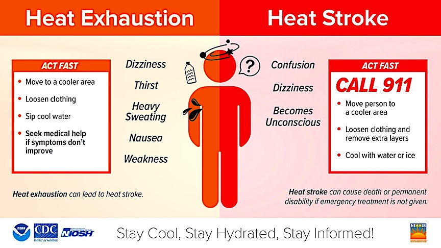 Heat wave advice graphic