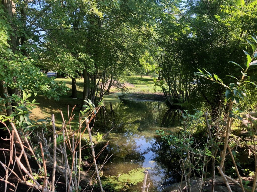 Pussy Willow Brook at 55 Greens Farms Road. / Photo by Thane Grauel