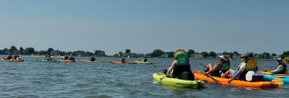 Kayakers enjoying Westport water - Photo Sea Kayak Connecticut