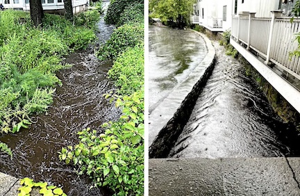 Stormy Sunday: Rain, blustery winds prompt flood warnings