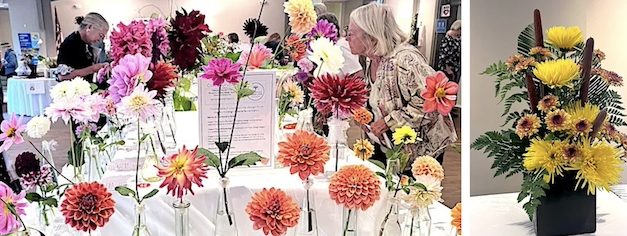 Westport Garden Club celebrates cultivating beauty for 100 years