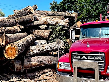 ZBA signs off — again — on office building plan for site of ‘logging’ operation