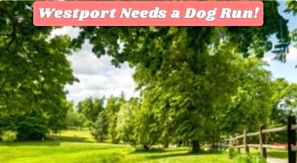 Renewed support unleashed for dog run at Winslow Park
