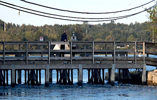 Mill Pond walkway.