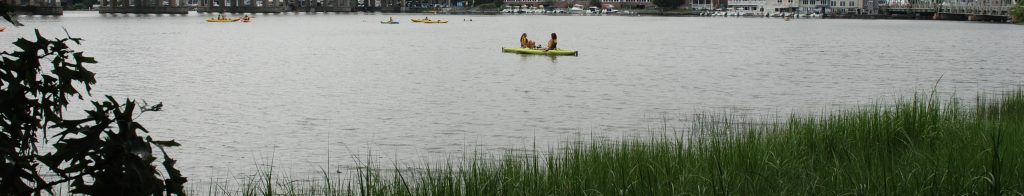 Saugatuck kayakers - Photo Westport Journal