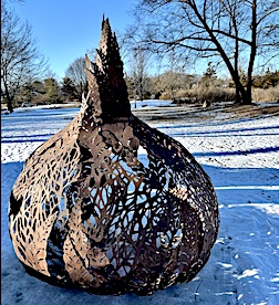 ‘Tulip’ sprouts in snowy Grace K. Salmon Park