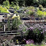 Who’s liable? Parks & Rec, gardeners spar over next steps