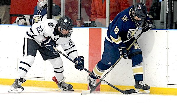Boys hockey season ends in state tourney loss