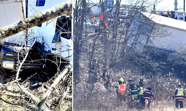 Injuries reported as trucks collide, careen off I-95