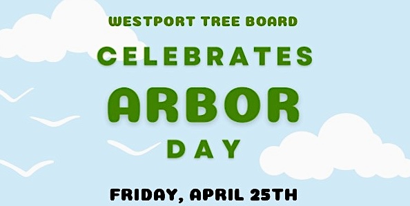 Arbor Day tree saplings give-away Friday at Town Hall