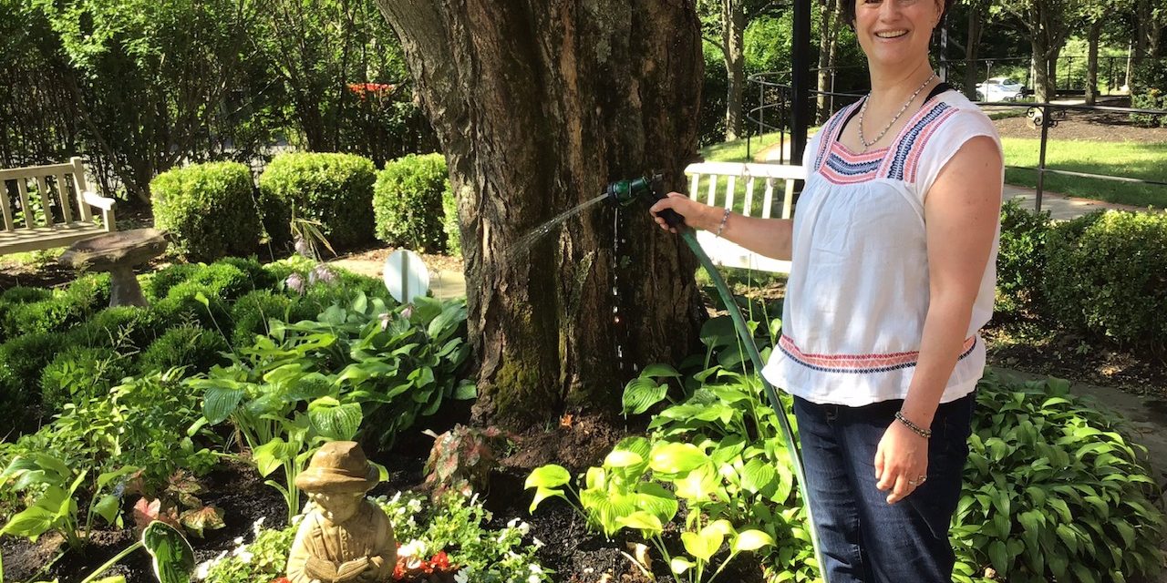 Cultivating with Kerri: Springtime is the perfect time to get that backyard garden started