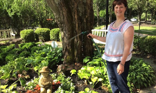Cultivating with Kerri: Springtime is the perfect time to get that backyard garden started