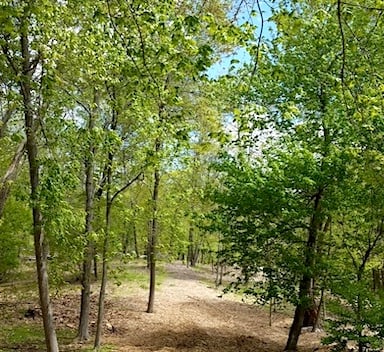 Cultivating with Kerri: For the Love of Trees