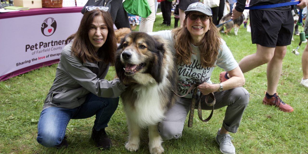 Westport Dog Festival bow-wows them all