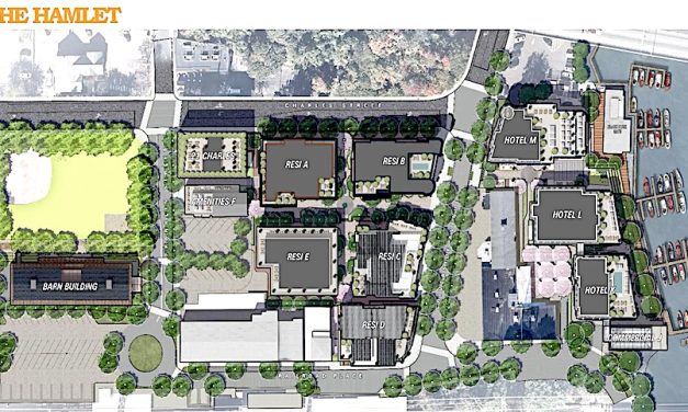 P&Z set to deny Hamlet application