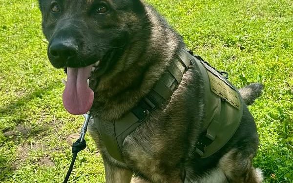 Westport’s K-9 officer receives ballistic vest donation