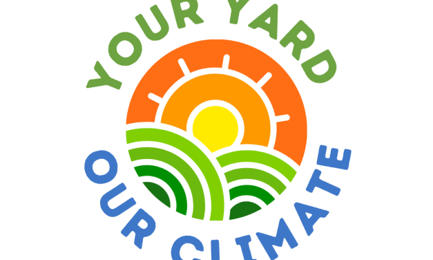 Cultivating with Kerri: Sustainable Westport brings planet-changing practices to your yard