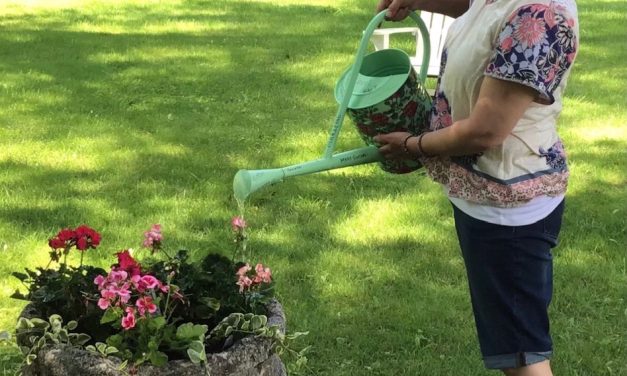 Cultivating with Kerri: Add color to your yard with containers