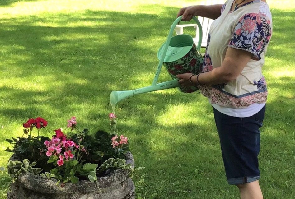 Cultivating with Kerri: Add color to your yard with containers