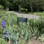 Cultivating with Kerri: spend a peaceful moment in Westport’s memorial gardens