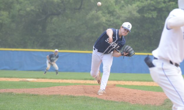 Wreckers baseball team blanked in state’s second round