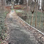 Baron’s South affordable housing gets backing of P&Z